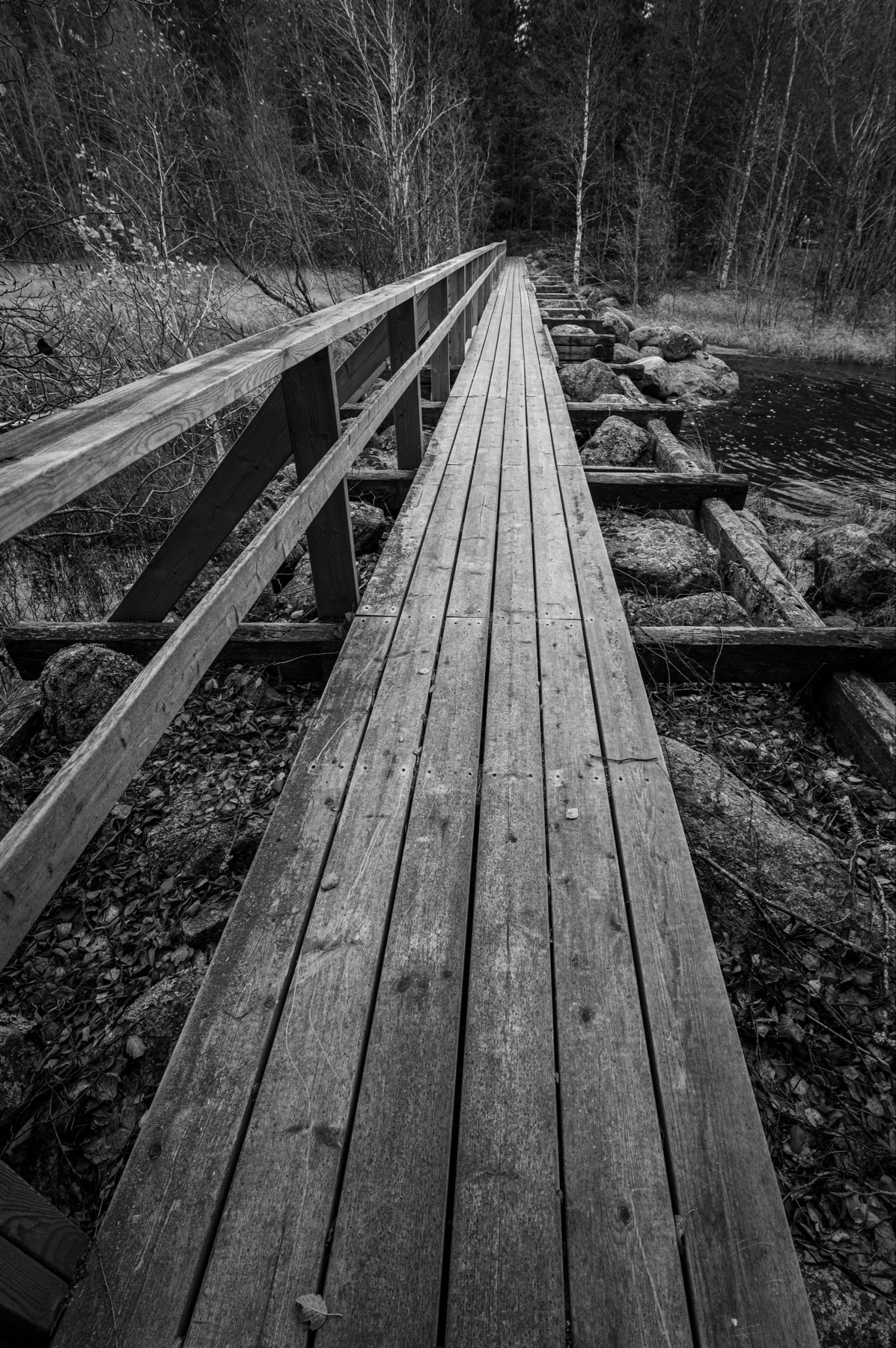 A black and white photograph of a wooden boardwalk extending into a wooded area. The path is flanked by a simple railing and surrounded by bare trees and rocks.